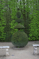 Statues, fountains and Parterre - Gardens of the Palace of Versailles - Versailles - Yvelines - France
