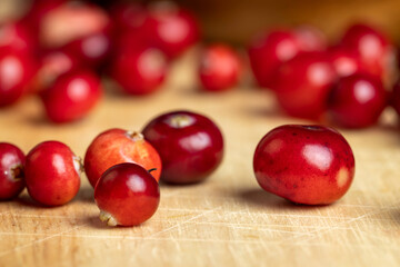 Red ripe cranberries harvested in swamps