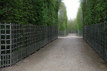 Fototapeta na wymiar Statues, fountains and Parterre - Gardens of the Palace of Versailles - Versailles - Yvelines - France