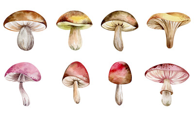Watercolor set of illustrations forest mushrooms. Children's illustration isolated on white background cartoon mushrooms.Hand-drawn for print poster, book, poster.