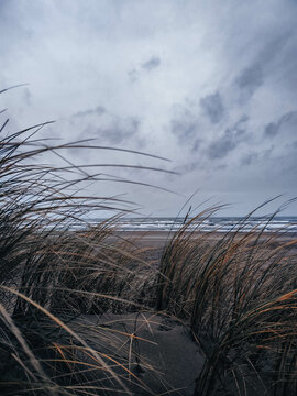 Strandd&uuml;nen