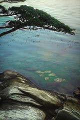 Parque nacional Tierra del Fuego