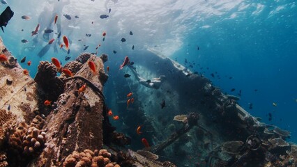 Woman dives near the shipwreck with corals in a tropical sea in the Maldives
