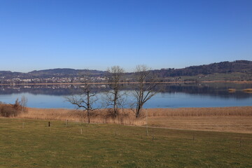 Blick auf den Pfäffikersee im Kanton Zürich in der Schweiz	