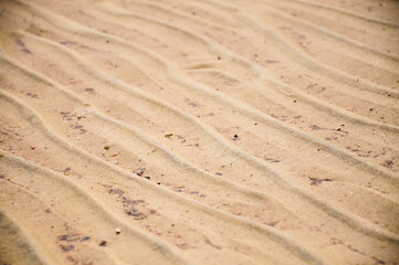 Textures in the form of lines in the sand on the beach, caused by the waves