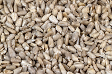 Sunflower seeds peeled from the black shell