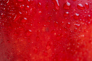 Red peel of a ripe and juicy apple