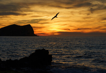 This beautiful photograph was taken at sunset on the beach, showcasing a stunning view of an island in the background. The sky has a warm orange hue, creating a serene and peaceful ambiance as the sun