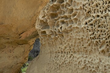 Oamaru, Otago, New Zealand - February 3 2023: Ancient limestone rock texture at Anatini, the site of ancient baleen whale fossils.