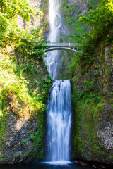 Fototapeta premium Multnomah Falls in Oregon. The waterfall flows under a single arch bridge and lush foliage.