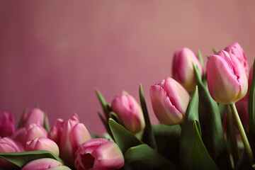 Obraz na płótnie Canvas Pink tulips as holiday background, image generated with AI