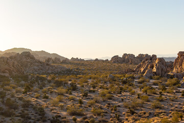 Sunset in Joshua Tree National park near Indian Cove Campground.