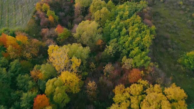autumn landscape shot from a bird's eye view