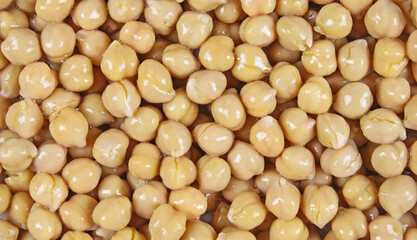 Full frame closeup of many pickled canned yellow chickpeas for seamless background