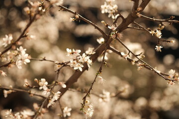 Printemps 2023, Paris