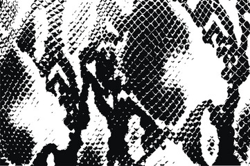 Snake print Vector Illustration, SVG