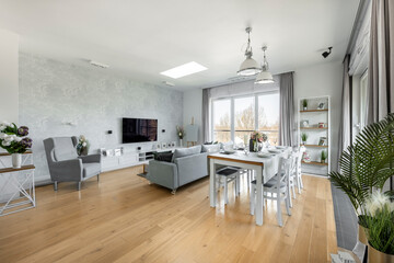 Modern interior design - living room