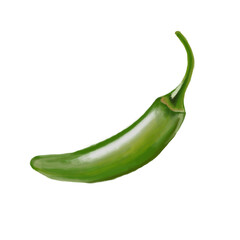 Serrano pepper oil painting illustration isolated on white background