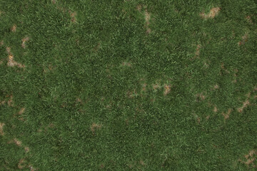 Detailed green grass lawn texture seen from above, 3D Rendering.
