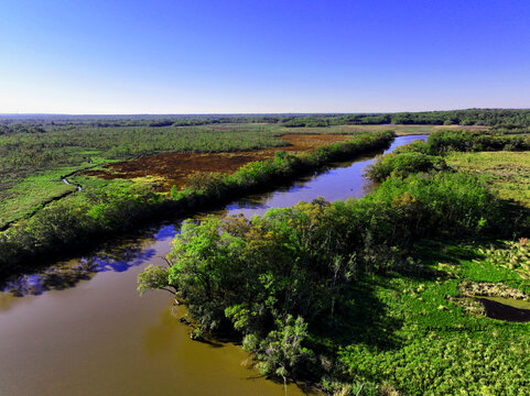South Louisiana bayous and marshland