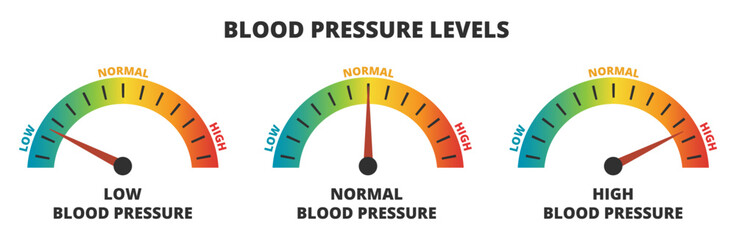 Vector infographic set of blood pressure levels – blood pressure meters with low, normal, and high level results, hypertension. Indicator gauge with color scale and arrow showing blood pressure levels - obrazy, fototapety, plakaty