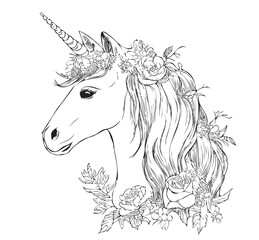 Magical unicorn head hand drawn sketch in doodle style illustration Fairy tales