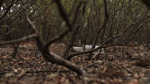 Botella de vidrio en la naturaleza. Contaminando el medio natural