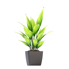 decorative flowers and plants for the interior, isolated on white background, 3D illustration, cg render