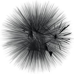 Black And White Texture Vector