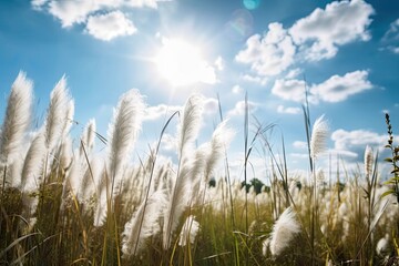 Obraz premium clouds and light blue sky in the pampas. Generative AI