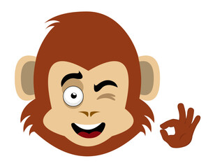 vector illustration face of monkey animal cartoon, winking eye and with his hand making an ok or perfect gesture