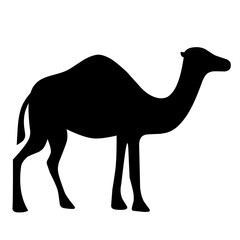 Camel flat icon. Animal illustration.