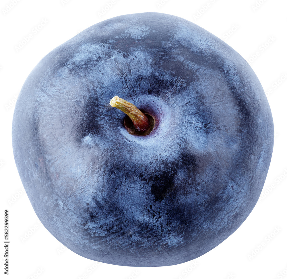 Wall mural single blueberry berry with stem isolated on transparent background