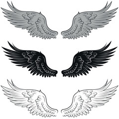 Vector design of angel wings, bird wings for decoration