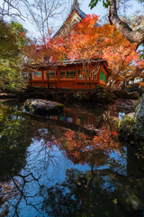 日本　京都府京都市にある毘沙門堂の本堂と紅葉