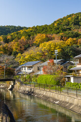 Fototapeta na wymiar 日本　京都府京都市の街並みと紅葉