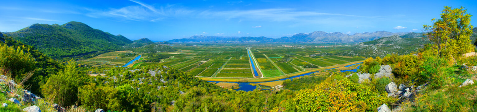 agricultured fields, famous valley of mandarine in Pizinovac, Neretva river, near Ploce, Dalmatia, Croatia, Europe... exclusive - this image is sold only on adobestock