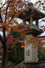 日本　京都府京都市にある天龍寺境内の雨に濡れた紅葉