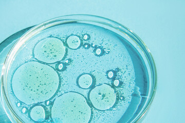 Petri dish. Petri's cup with liquid. Chemical elements, oil, cosmetics. Gel, water, molecules, viruses. Close-up. On a blue background.