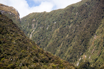 Fiordland National Park Green Mountain Valley