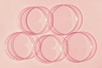 Petri dish. A set of Petri cups. On a pink background. Laboratory half.