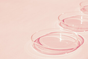 Petri dish. A set of Petri cups. On a pink background. Laboratory half.