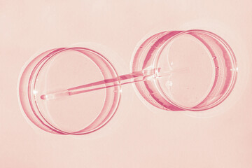 Fototapeta premium Petri dish. A set of Petri cups. A pipette, glass tube. On a pink background.