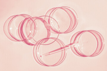 Petri dish. A set of Petri cups. A pipette, glass tube. On a pink background.