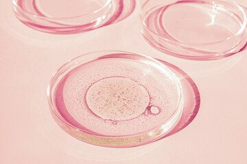 Petri dish. Petri's cup with liquid. Chemical elements, oil, cosmetics. Gel, water, molecules, viruses. Close-up. On a pink background.