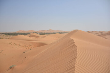 Dünen in Wüste mit Oase, saftig grüne Palmen und frisches Wasser in der nähe von Al Ain in den Vereinigten Arabischen Emiraten