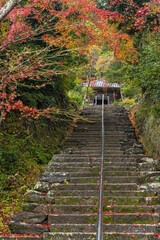 Obraz premium 日本 京都府京都市の嵯峨嵐山にある二尊院の湛空廟へ続く雨に濡れた石段と紅葉