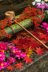 日本　京都府京都市の嵯峨嵐山にある二尊院の手水舎と飾られた紅葉