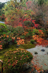 日本　京都府京都市の嵯峨嵐山にある二尊院の本堂から見える庭園と紅葉