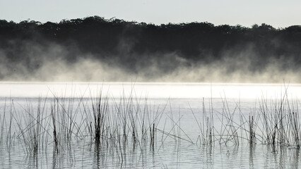Morning fog at a lake on Fraser Island, Queensland Australia